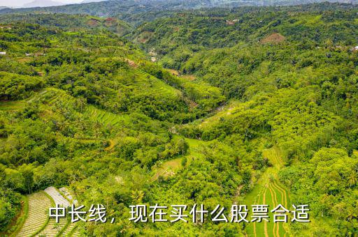 中長線，現(xiàn)在買什么股票合適