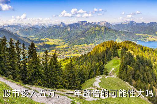 股市投入五萬，一年翻倍的可能性大嗎