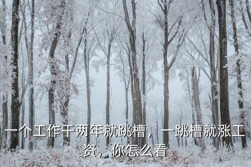一個工作干兩年就跳槽，一跳槽就漲工資，你怎么看