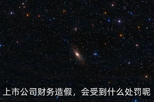 上市公司財(cái)務(wù)造假，會(huì)受到什么處罰呢