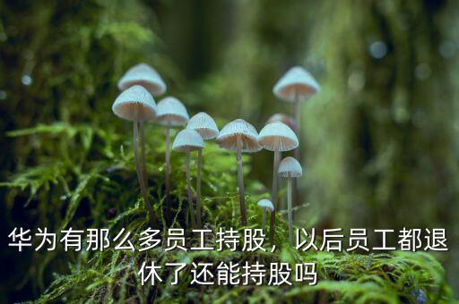 華為有那么多員工持股，以后員工都退休了還能持股嗎