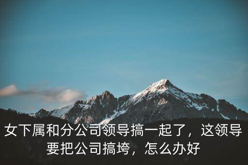 女下屬和分公司領(lǐng)導(dǎo)搞一起了，這領(lǐng)導(dǎo)要把公司搞垮，怎么辦好
