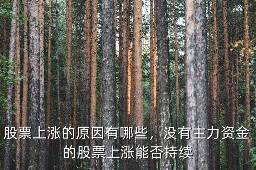 股票上漲的原因有哪些，沒(méi)有主力資金的股票上漲能否持續(xù)
