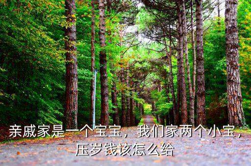 親戚家是一個寶寶，我們家兩個小寶，壓歲錢該怎么給