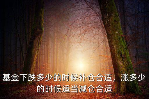 基金下跌多少的時(shí)候補(bǔ)倉(cāng)合適，漲多少的時(shí)候適當(dāng)減倉(cāng)合適