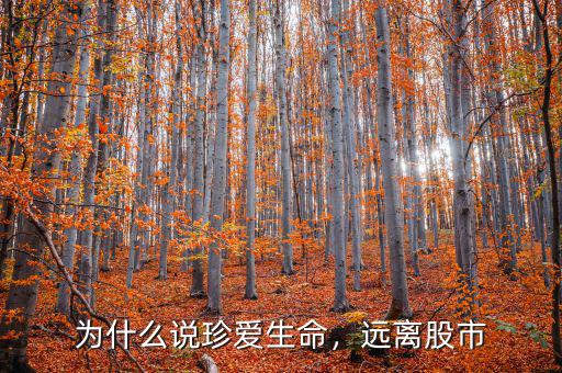 為什么說珍愛生命，遠離股市
