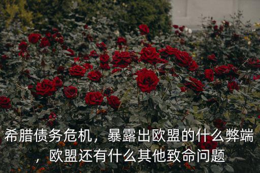 希臘債務(wù)危機(jī)，暴露出歐盟的什么弊端，歐盟還有什么其他致命問題