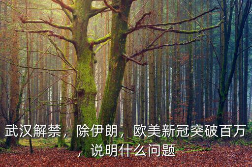 武漢解禁，除伊朗，歐美新冠突破百萬，說明什么問題