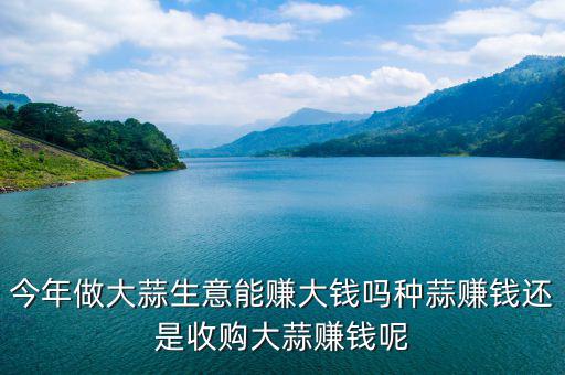 今年做大蒜生意能賺大錢(qián)嗎種蒜賺錢(qián)還是收購(gòu)大蒜賺錢(qián)呢