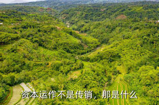 資本運(yùn)作不是傳銷，那是什么