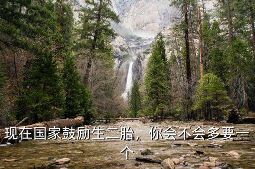 現(xiàn)在國家鼓勵生二胎，你會不會多要一個