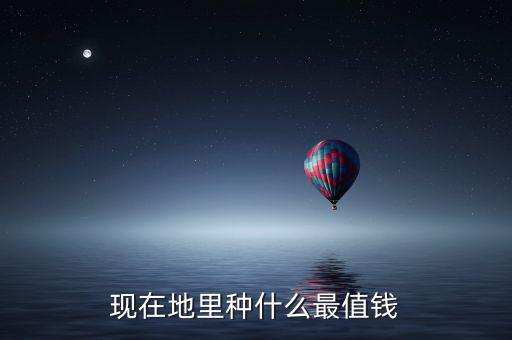 現(xiàn)在地里種什么最值錢(qián)