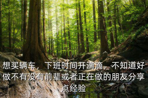 想買輛車，下班時間開滴滴，不知道好做不有沒有前輩或者正在做的朋友分享點經(jīng)驗