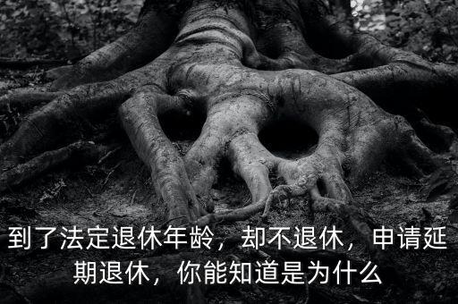 到了法定退休年齡，卻不退休，申請延期退休，你能知道是為什么