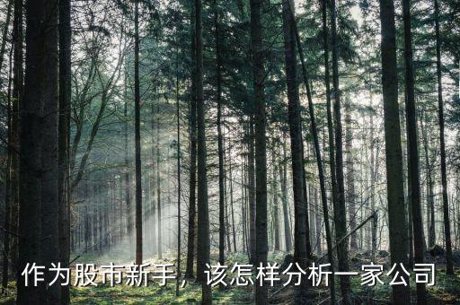 作為股市新手，該怎樣分析一家公司