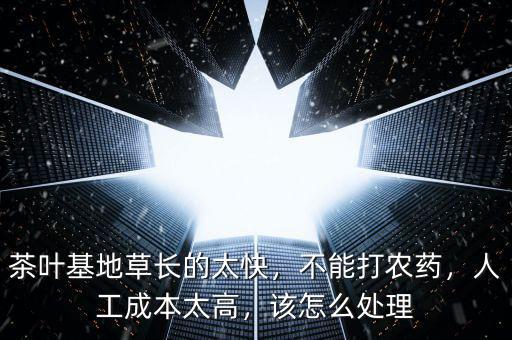 茶葉基地草長(zhǎng)的太快，不能打農(nóng)藥，人工成本太高，該怎么處理