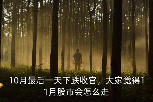 10月最后一天下跌收官，大家覺(jué)得11月股市會(huì)怎么走