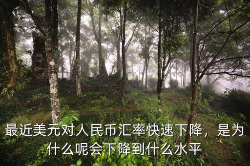 最近美元對(duì)人民幣匯率快速下降，是為什么呢會(huì)下降到什么水平