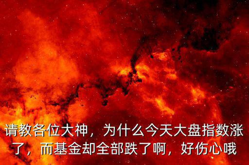 請(qǐng)教各位大神，為什么今天大盤指數(shù)漲了，而基金卻全部跌了啊，好傷心哦
