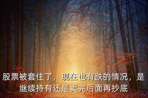 股票被套住了，現(xiàn)在也有跌的情況，是繼續(xù)持有還是賣完后面再抄底