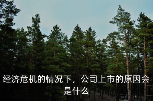 經(jīng)濟(jì)危機(jī)的情況下，公司上市的原因會(huì)是什么
