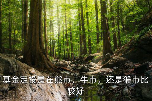 基金定投是在熊市，牛市，還是猴市比較好