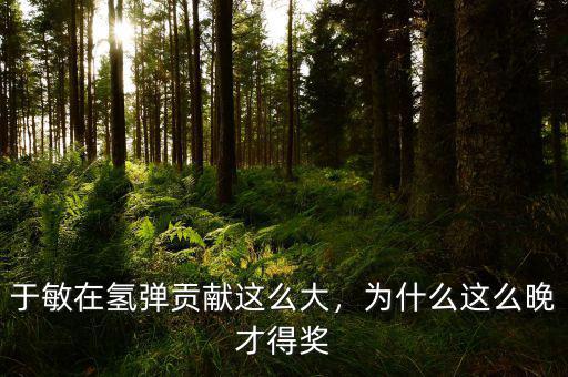 于敏在氫彈貢獻這么大，為什么這么晚才得獎