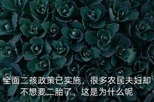 全面二孩政策已實(shí)施，很多農(nóng)民夫婦卻不想要二胎了，這是為什么呢
