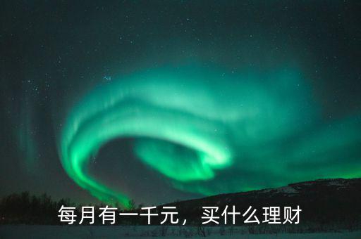 每月有一千元，買(mǎi)什么理財(cái)