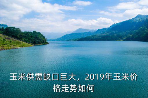 玉米供需缺口巨大，2019年玉米價(jià)格走勢(shì)如何