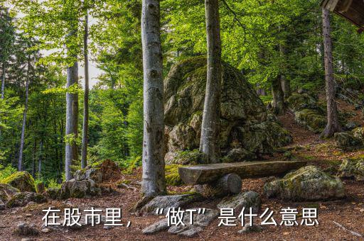 在股市里，“做T”是什么意思