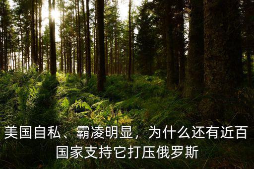 美國(guó)自私、霸凌明顯，為什么還有近百國(guó)家支持它打壓俄羅斯