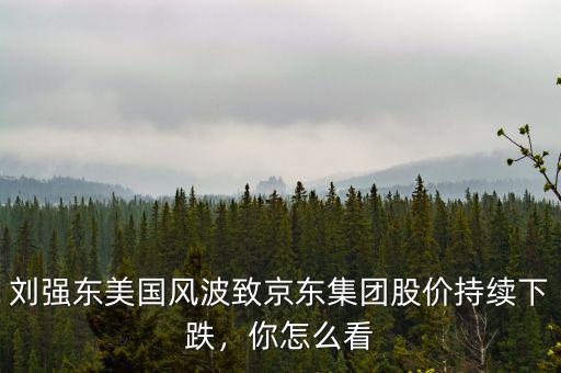 劉強(qiáng)東美國風(fēng)波致京東集團(tuán)股價持續(xù)下跌，你怎么看