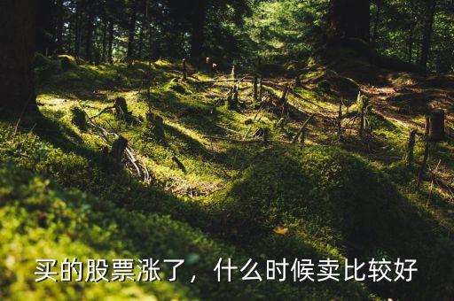 買的股票漲了，什么時候賣比較好
