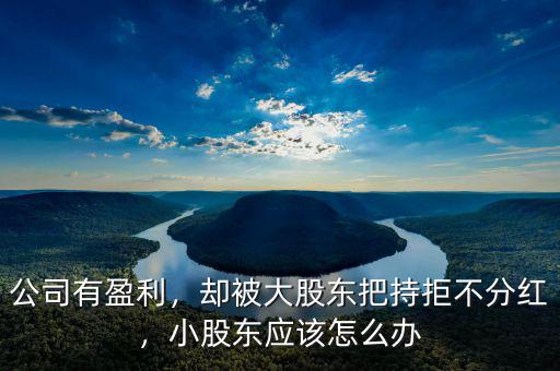 公司有盈利，卻被大股東把持拒不分紅，小股東應(yīng)該怎么辦