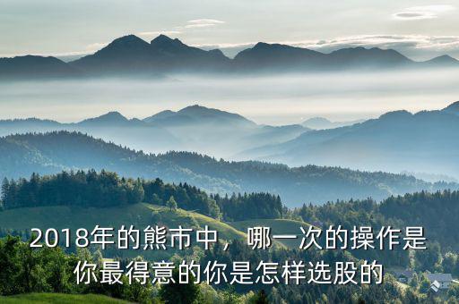 2018年的熊市中，哪一次的操作是你最得意的你是怎樣選股的