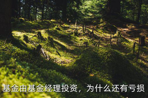 基金由基金經(jīng)理投資，為什么還有虧損