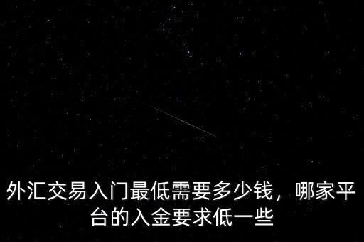 外匯交易入門最低需要多少錢，哪家平臺的入金要求低一些