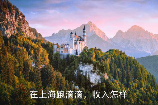 在上海跑滴滴，收入怎樣