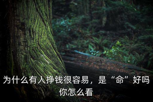 為什么有人掙錢很容易，是“命”好嗎你怎么看