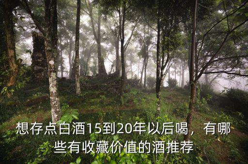 想存點白酒15到20年以后喝，有哪些有收藏價值的酒推薦