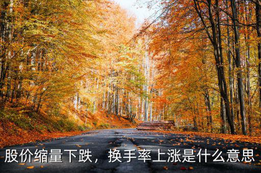股價縮量下跌，換手率上漲是什么意思