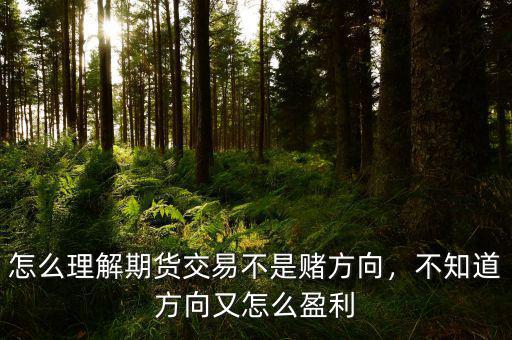 怎么理解期貨交易不是賭方向，不知道方向又怎么盈利