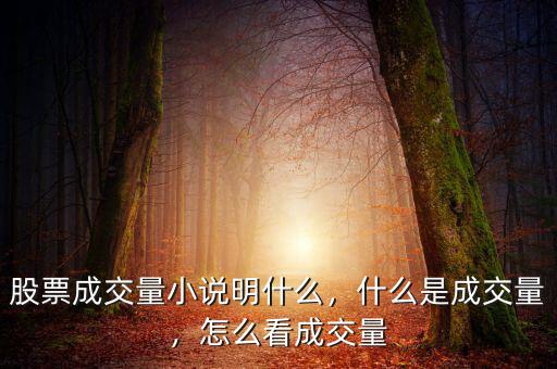 股票成交量小說明什么，什么是成交量，怎么看成交量