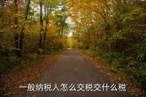 稅友可以繳納什么稅，一般納稅人應該交什么稅稅率是多少啊
