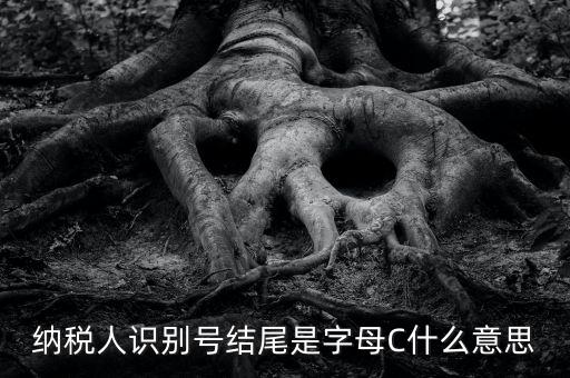 c級納稅人是什么意思，納稅人識別號結(jié)尾是字母C什么意思
