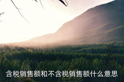 什么是含稅金額，什么是含稅