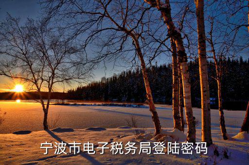 電子稅務(wù)默認(rèn)登錄密碼是什么，稅務(wù)局網(wǎng)站的登入賬戶初始密碼是什么