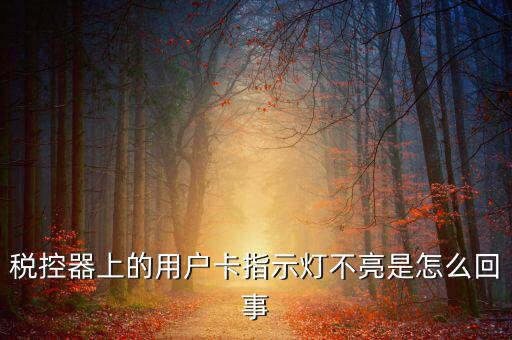 稅控機用戶卡是什么，稅控器上的用戶卡指示燈不亮是怎么回事