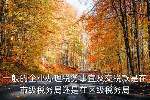 一般的企業(yè)辦理稅務事宜及交稅款是在市級稅務局還是在區(qū)級稅務局